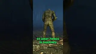 Какие спутники не боятся темноты в Fallout 4?