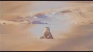 Arctic Tale (2007) - Movie Trailer 