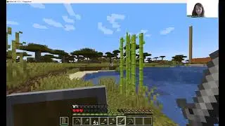 Minecraft With Miri