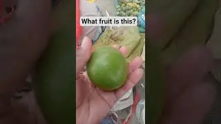 Saw this in the market but even the sellers have no idea what it's name is🤔 #somethingweird