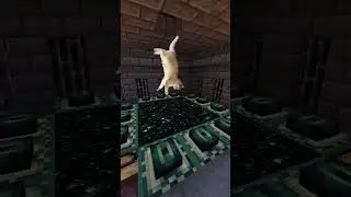 Cat Speedrun 🐱⛏️  #minecraft #funny #cat