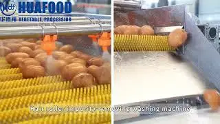Automatic potato washing line