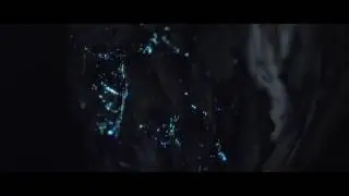 Projections in the Forest - bioluminescent forest - projection mapping