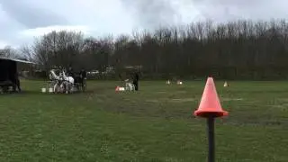 Heibing 24-04-16 TopCup
