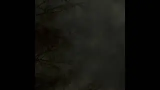 The cloudy night sky made the 7 or 8 orbs scattered around the sky pretty obvious! 