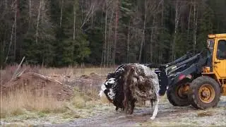 Gripskopa