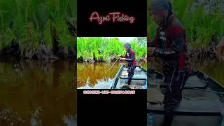 STREAK IKAN PARI LALAT DI SUNGAI KUALA BUBON   #shortvideo #mancing #macingdasaran #mancingmania