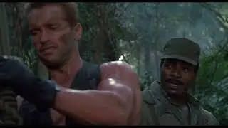 Predator - setting the trap