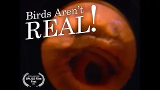 Birds Aren't Real! (2020)
