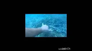 tako.nation tako dive 2025