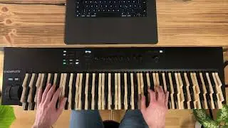 Transposing chords to all 12 keys is easy on the Jank&oacute; keyboard