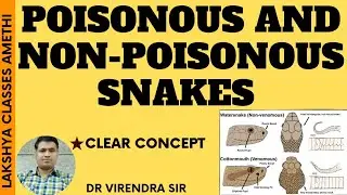 Poisonous and Non-Poisonous snakes | For B.Sc 5 Sem/NEET/B.Pharma/B.Sc Nursing |