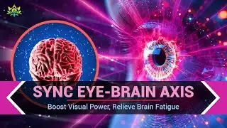 Sync Eye-Brain Axis - Boost Visual Power, Relieve Brain Fatigue - Deep Relaxation Frequencies - 40Hz