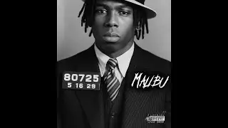 Playboii $anii - Malibu 