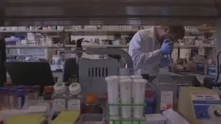 Nanopore Diagnostics