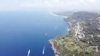Palmi