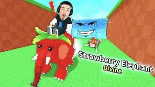 ADMIN ABUSE + ВЗЕХ STRAWBERRY ELEPHANT В ESCAPE TSUNAMI FOR BRAINROTS