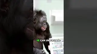 This Monkey is GENIUS😲 #shorts
