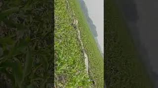 Water heavy lauder in pipe with the help of electric motor