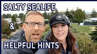 Point Defiance Zoo in Washington // Full Time RV Living // S:1 E:28