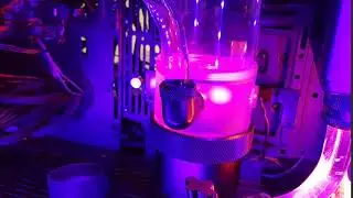 Barrow D5 Pump Noises on Startup
