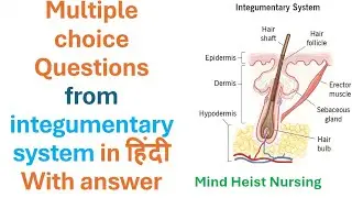 Multiple choice Questions from integumentary system in हिंदी With answer (05 qus. with explanation )