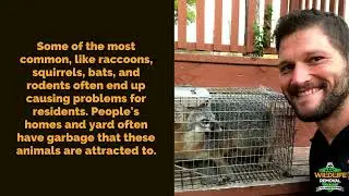 Wildlife Pest Control - AAAC Wildlife Removal Cincinnati