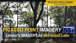 Experience Imagery at Mountain Island Lake  [See The Water]