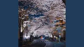 Shibuya
