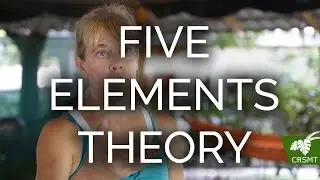 Five Element Theory of Traditional Chinese Medicine