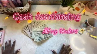 Cash condensing my binders 🥰🥰🥰🥰#cashcondensing 