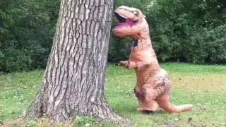 Try Again Rex