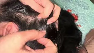 Soothing Scalp ASMR - Scratching, Nitpicking & Hair Care #asmrrelaxation #asmrhair #hairplay #asmr