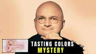 THESE People Can Literally Taste Colours (The Synaesthesia Phenomenon)