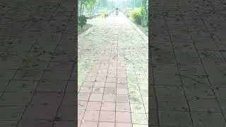 #modifiedbullet #dugdugsound #alloywheels #shorts #viral #viralshorts #bullet #oldbulletsound #bike