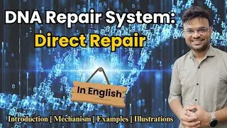 DNA Repair System Explained: Complete Guide to Direct Repair with Detailed Illustrations