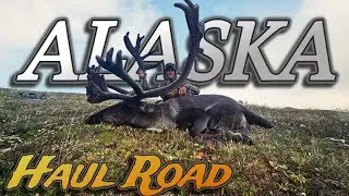 UP NORTH / Alaska Caribou (2024)