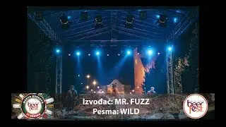 Mr Fuzz - Wild