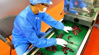 Red Pepper Powder Mass Production Process.
