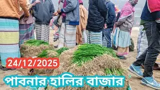 24 December 2025 আজকের পেঁয়াজের হালির বাজার দর দাম। আজকের পেঁয়াজের চারার বাজার দর।