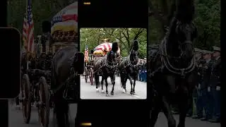 Military Funeral Procession with Horses Carrying a Flag-Covered Casket 🇺🇸🐴