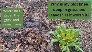 Mulching, composting, or is it? Have I gone mad? Grass and leaves!