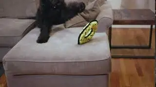 Tuffy&reg; Dog Toys