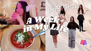 closet refresh, car training my cat, back to twerk | vlog #2