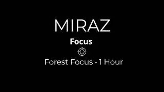 Forest Stillness &middot; Natural Ambient Focus for Studying & Work 1 Hour