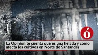 La Opini&oacute;n te cuenta qu&eacute; es una helada y c&oacute;mo afecta los cultivos