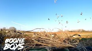Duck and Goose Hunting Farm Pond and Wheat Field