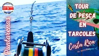 Tour de pesca en Playa Tárcoles