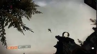 Destiny 2 bug