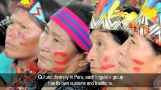 Justicia Intercultural en Per&uacute;: 21 a&ntilde;os despu&eacute;s (english sub.)